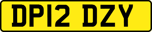 DP12DZY