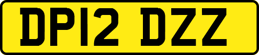 DP12DZZ