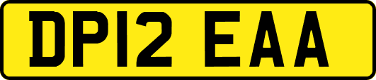 DP12EAA