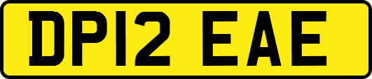 DP12EAE