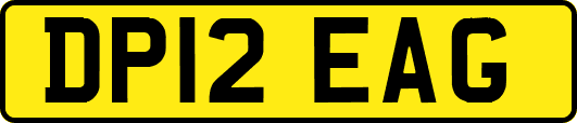 DP12EAG