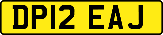 DP12EAJ