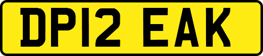 DP12EAK