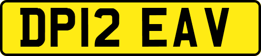 DP12EAV