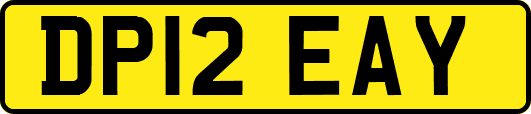 DP12EAY