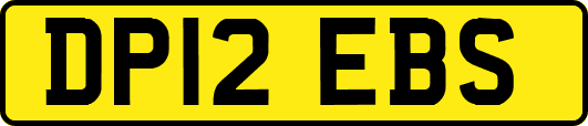 DP12EBS