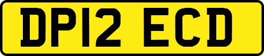 DP12ECD