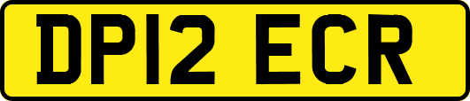 DP12ECR