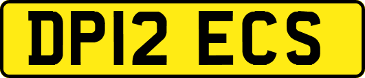DP12ECS
