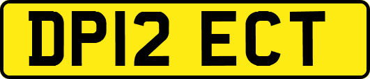 DP12ECT