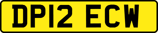 DP12ECW