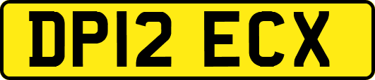 DP12ECX