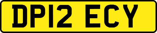 DP12ECY