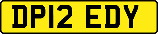 DP12EDY