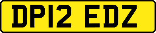 DP12EDZ