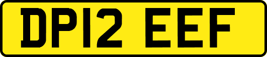 DP12EEF