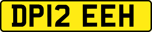 DP12EEH