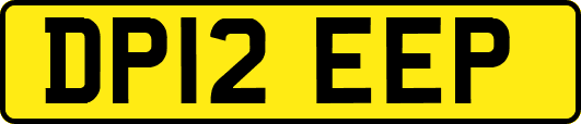 DP12EEP