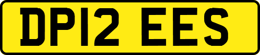 DP12EES
