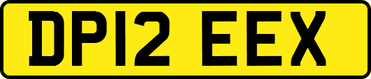 DP12EEX