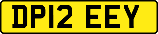 DP12EEY