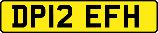 DP12EFH