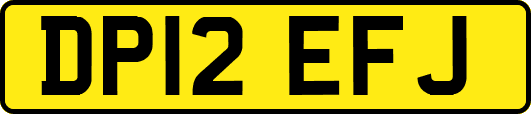 DP12EFJ