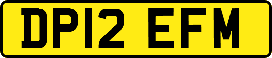 DP12EFM