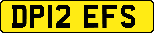 DP12EFS