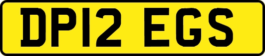 DP12EGS