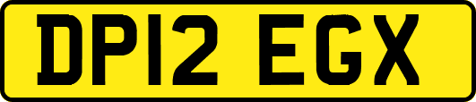 DP12EGX
