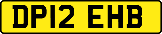 DP12EHB