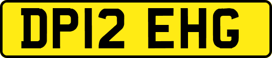 DP12EHG