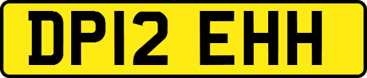DP12EHH