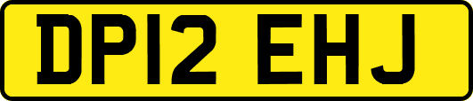 DP12EHJ