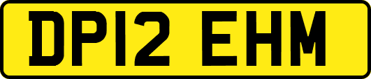 DP12EHM