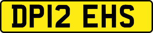 DP12EHS