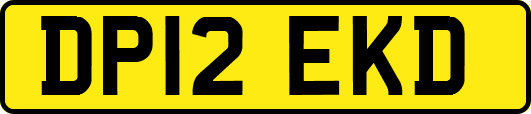 DP12EKD