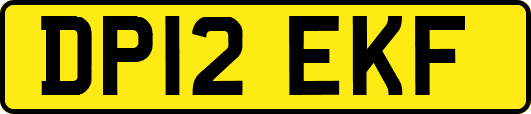 DP12EKF