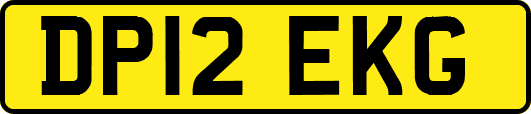 DP12EKG