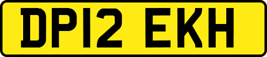 DP12EKH