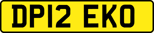 DP12EKO