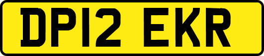 DP12EKR