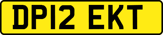 DP12EKT