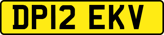 DP12EKV