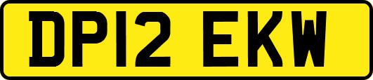 DP12EKW