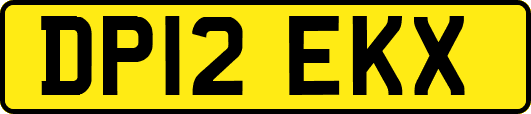 DP12EKX