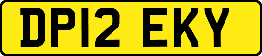 DP12EKY