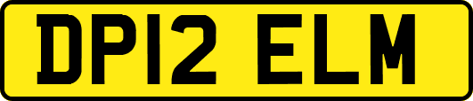DP12ELM