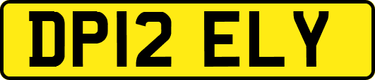 DP12ELY